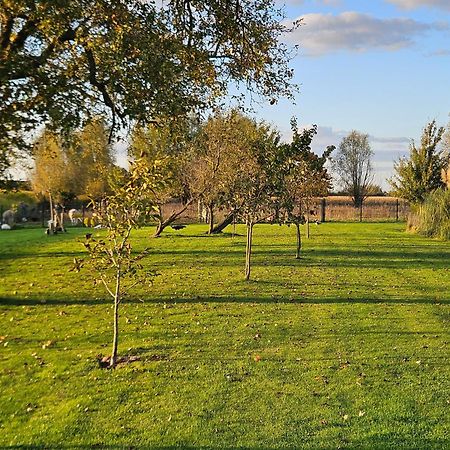Gite Esprit Loft Fromelles Eksteriør billede
